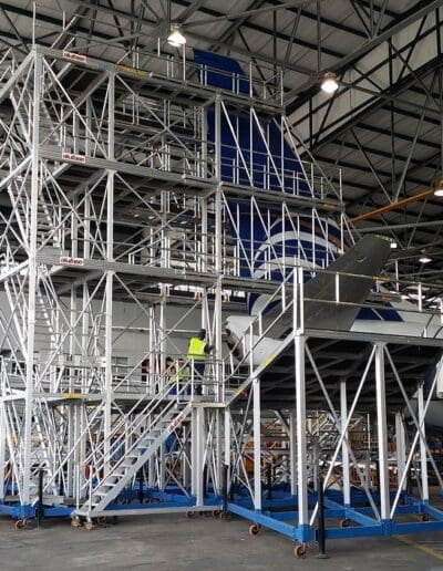 Custom Scaffold Design